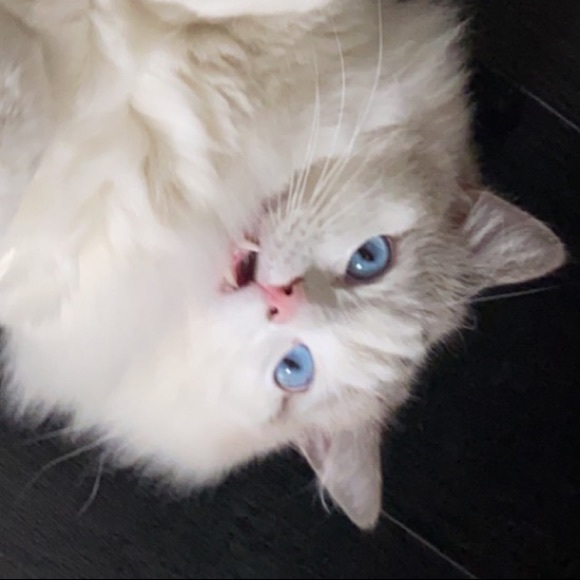 nina0_0347